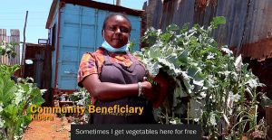 Farming made possible in urban slums