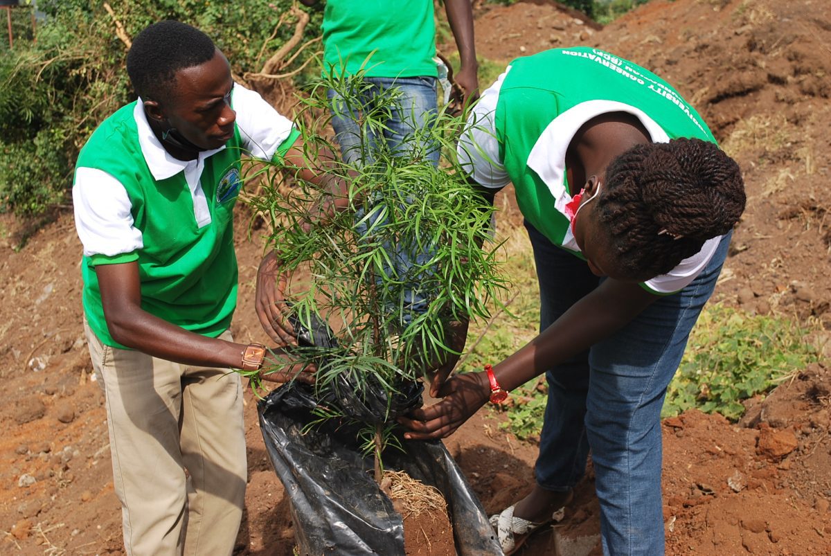 Antonio Kalyango planting a tree at Ssaza