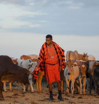 The Maestro of Maasai Mara’s Harmonious Symphony