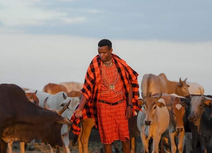 The Maestro of Maasai Mara’s Harmonious Symphony