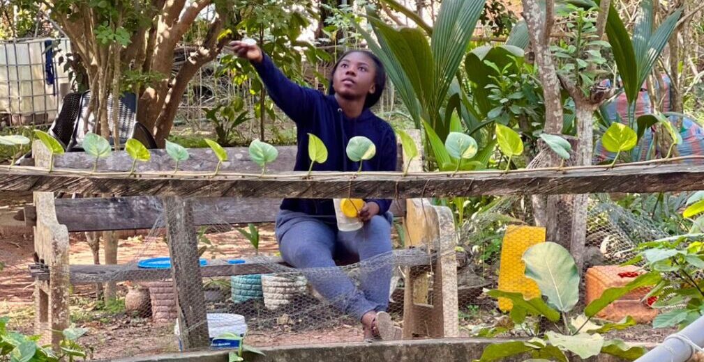The Hundred Set Solution: A Young Innovator Reimagining Yam Farming in Ghana