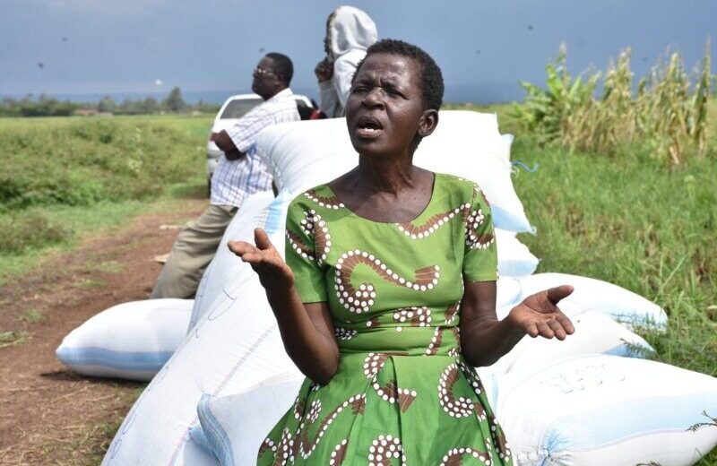 Ugandan Women in Kenya’s Rice Farming: A Growing Force