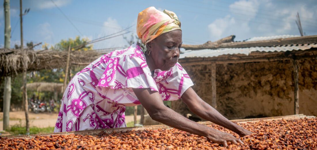 Reframing Cocoa: VVMG’s Perspective Ahead of Amsterdam Cocoa Week