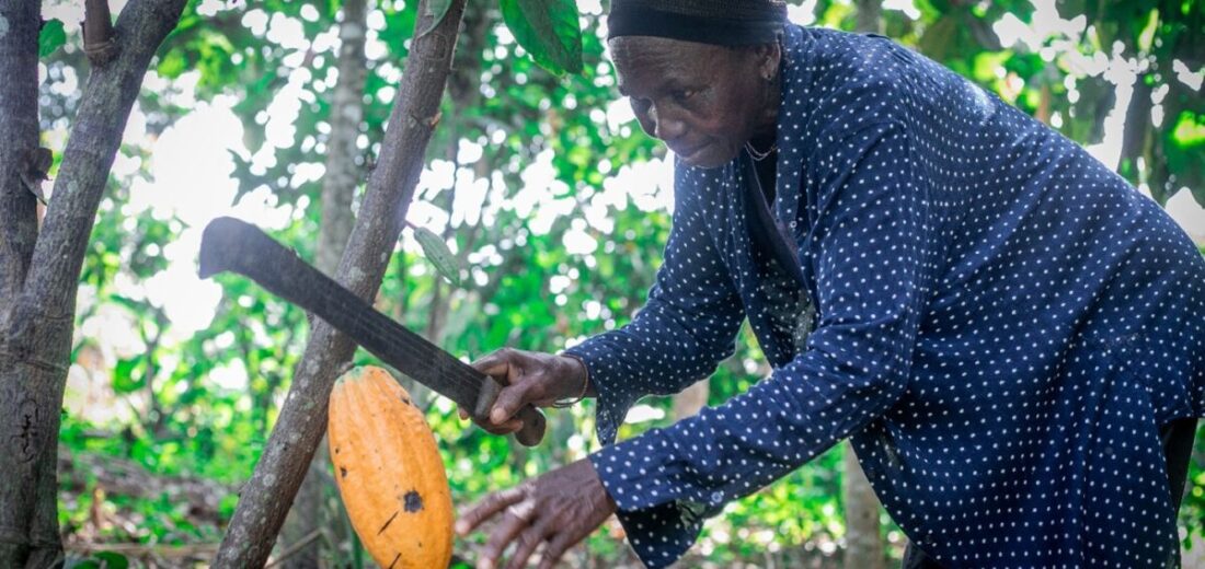 Women at the Fault Line of Cocoa: Rural Realities Behind Amsterdam Cocoa Week