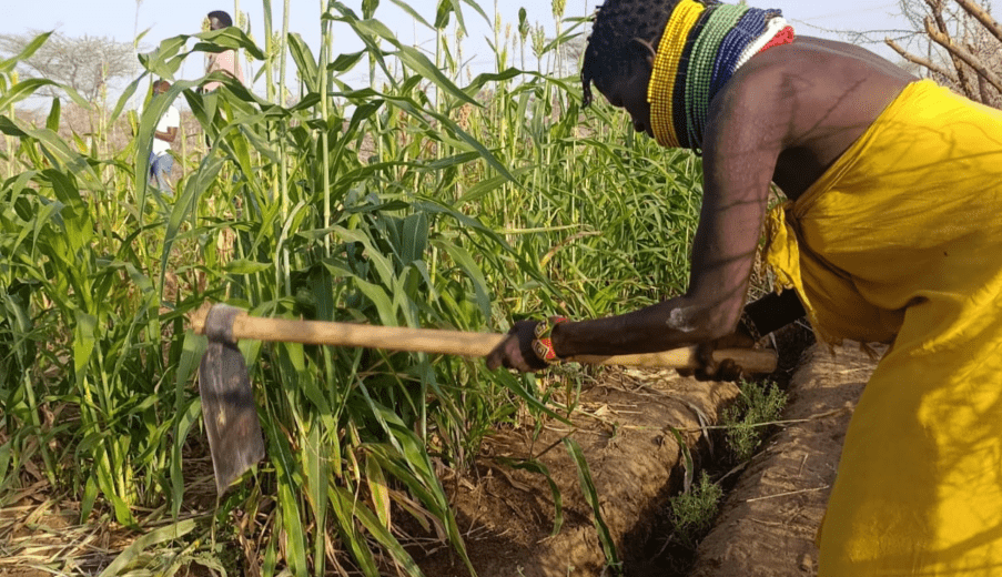 How Lolupe women stepped in when aid failed